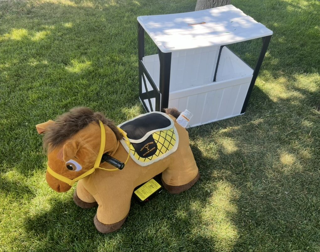 Kids Electric Riding Horse