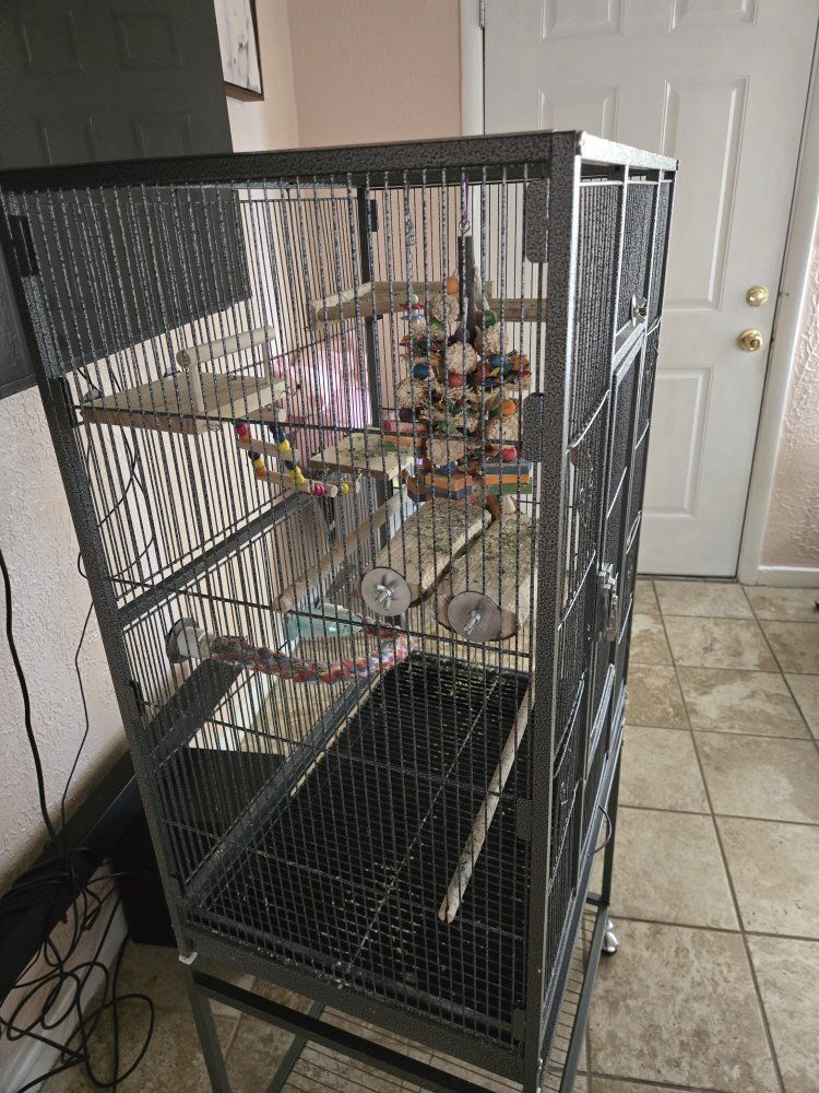 Main image 4
