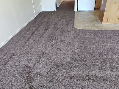 Expert Carpet Repair | Vinyl | Laminate | Epoxy Flooring | LVP | Concrete Coatings | Platypus Flooring