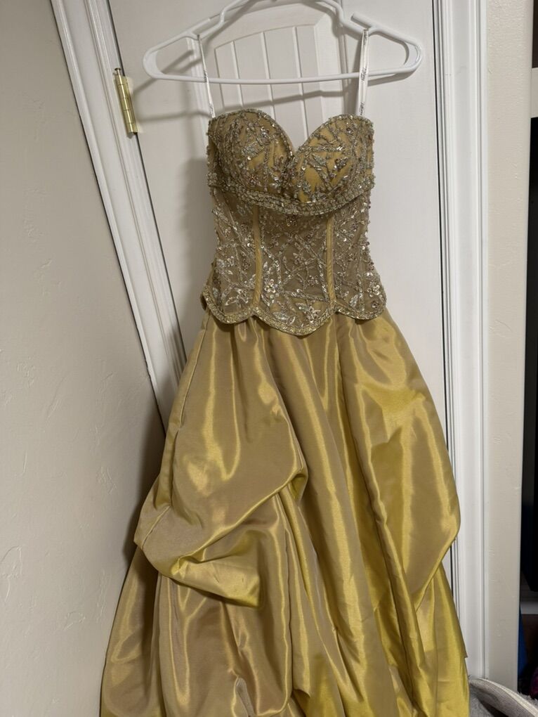 Prom Dress Or Special Occasions