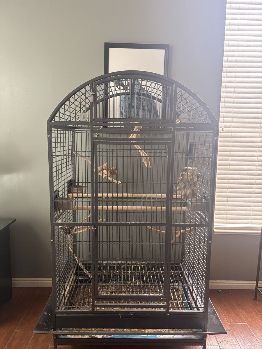 LARGE Bird Cage