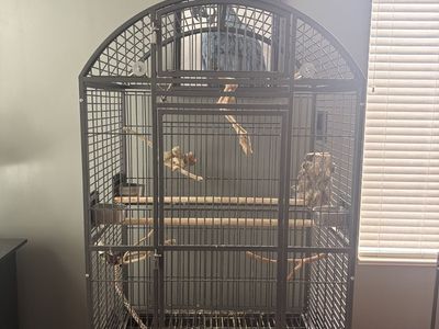 LARGE Bird Cage