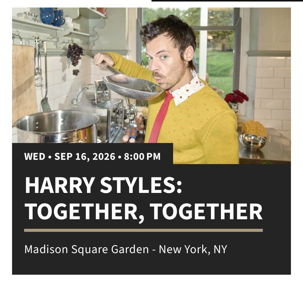 Harry Styles MSG, NYC Sept 16