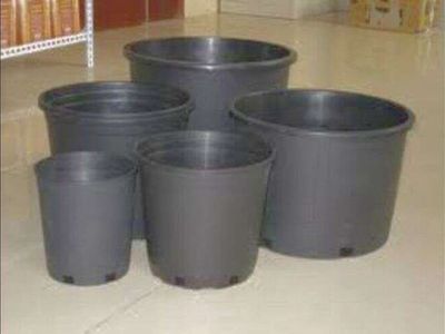 plant pots 1 - 25 gallon big sizes to grow tomatoes