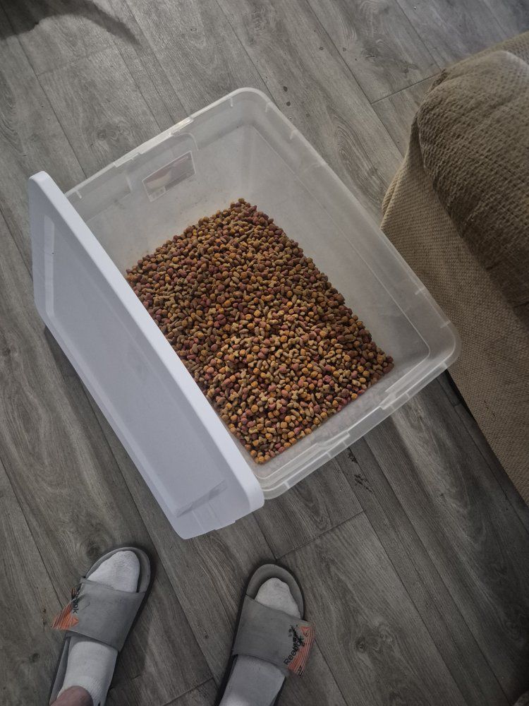 Purina weight loss dog food