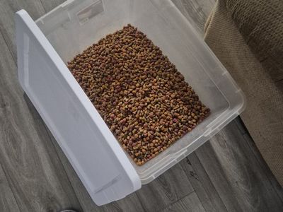 Purina weight loss dog food