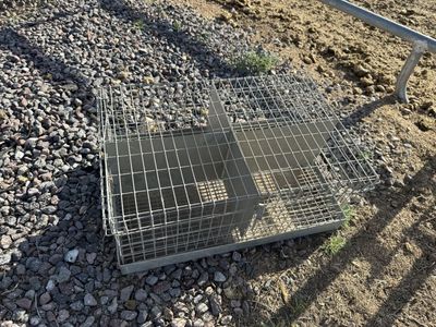 Rabbit cages & supplies