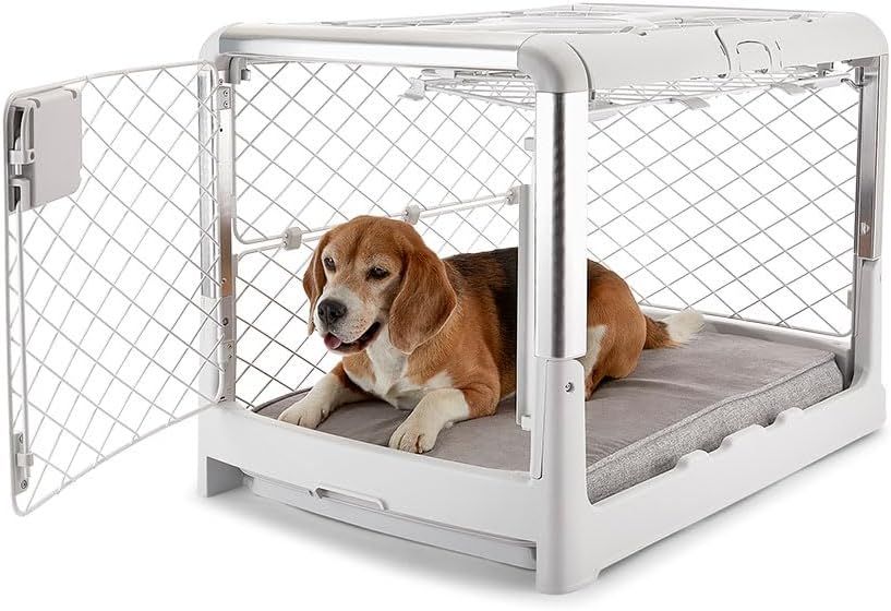 DIGGS Revol Collapsible Dog Crate (Ash)