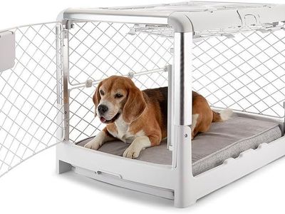 DIGGS Revol Collapsible Dog Crate (Ash)