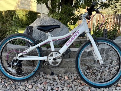 20” GIANT 7 Speed Bike In Excellent Condition