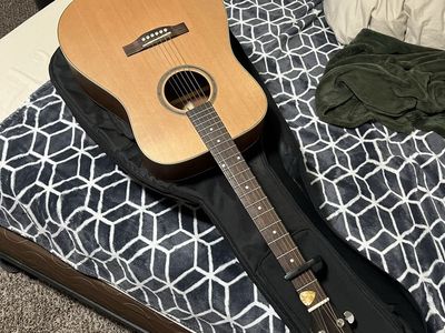 Teton Guitar STS105NT, Comes with bag and a couple of picks