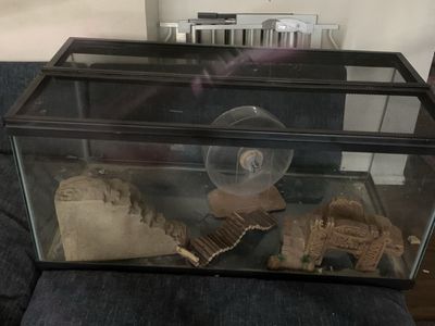Glass Hamster/Reptile Tank Terrarium with Mesh Lid & Accessories - Used
