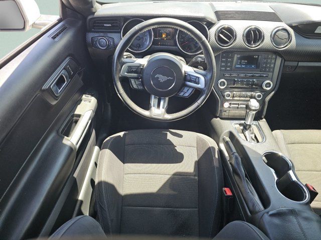 Main image 4