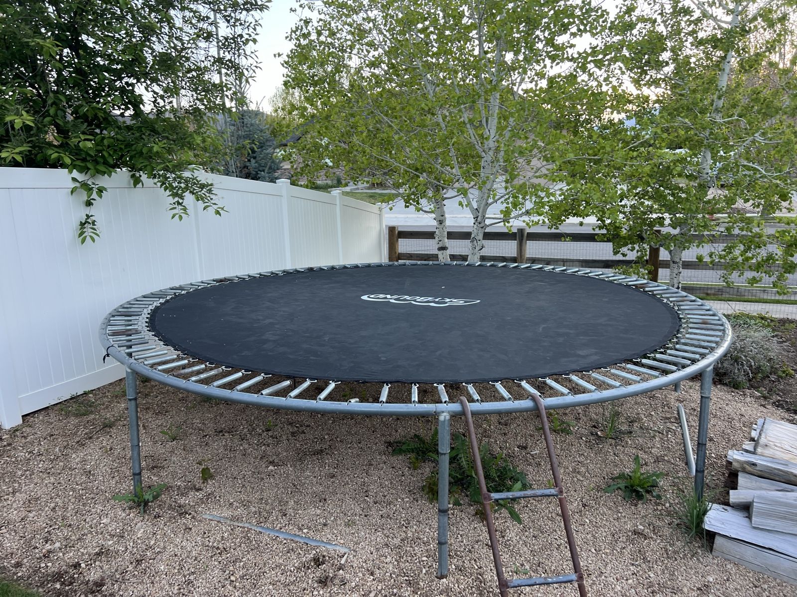 Trampoline