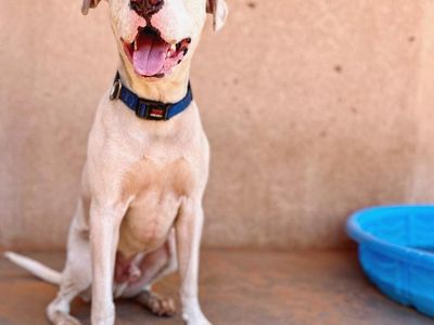 Hello my name is Jax