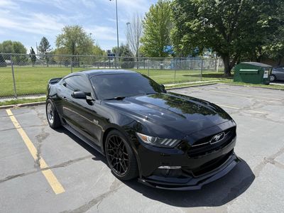 2015 Ford Mustang GT 50 Years Limited Edition