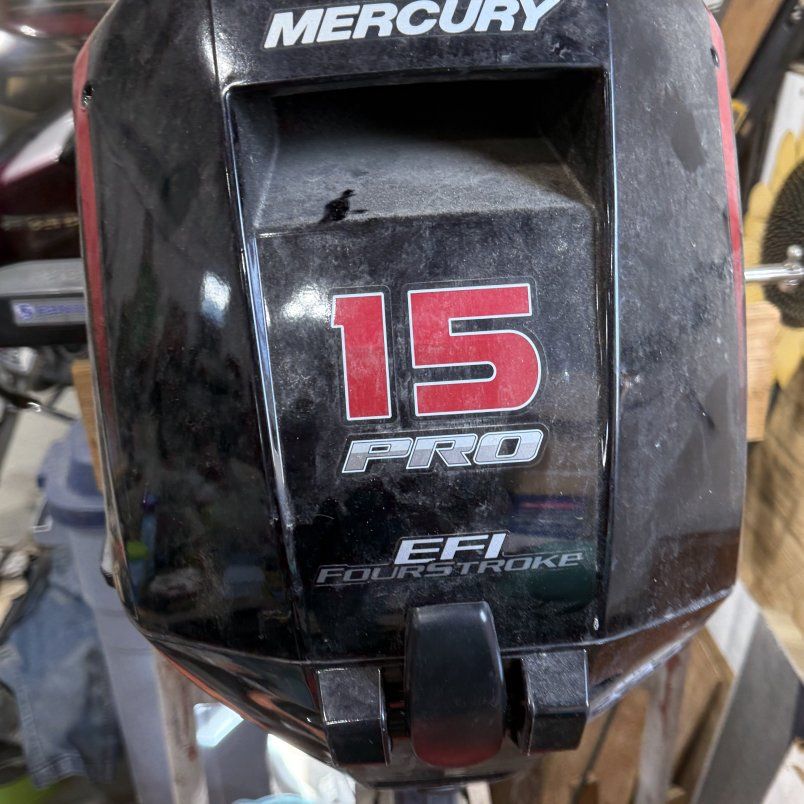 2022 Mercury 15 hp pro kicker with panther T4