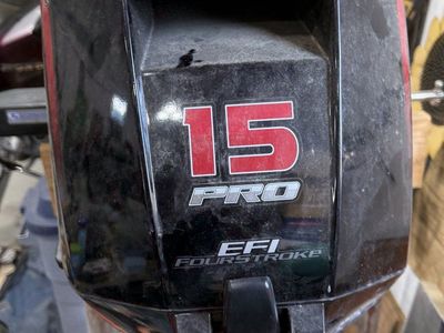 2022 Mercury 15 hp pro kicker with panther T4