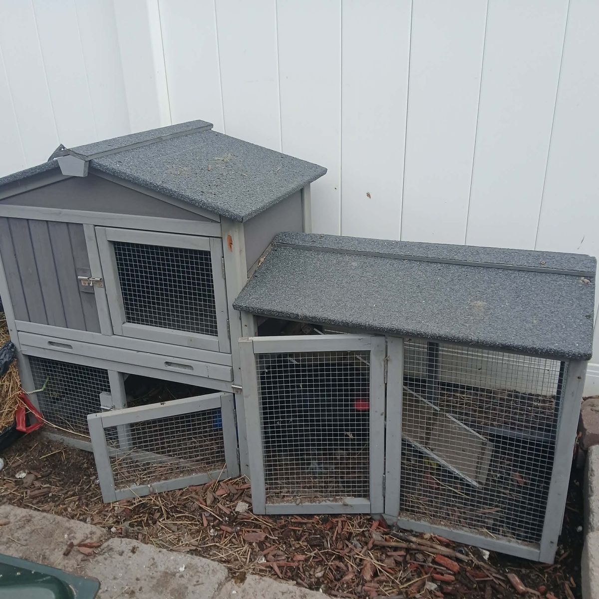 Chicken Coop or Bunny Hutch