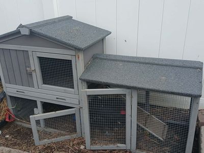 Chicken Coop or Bunny Hutch