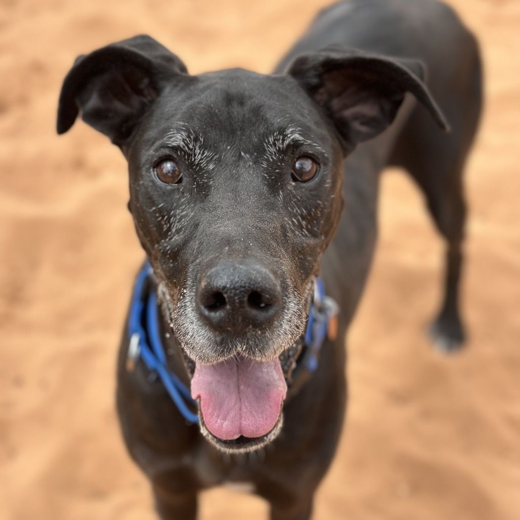 Hello my name is Leidy