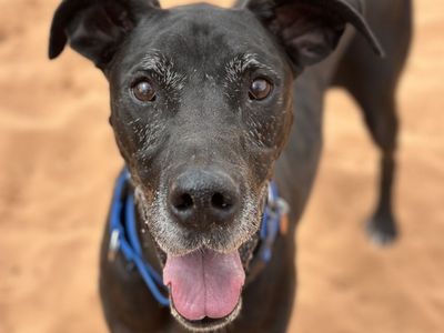 Hello my name is Leidy