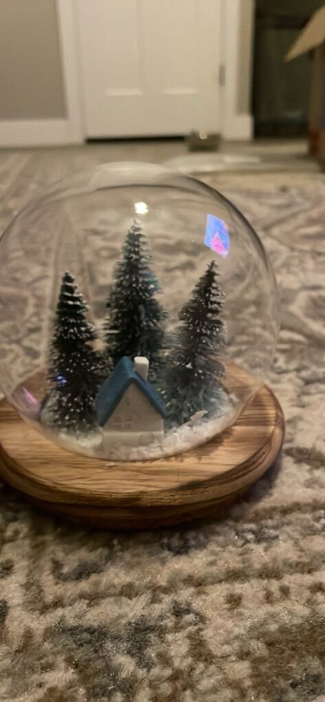 Christmas winter snowglobe