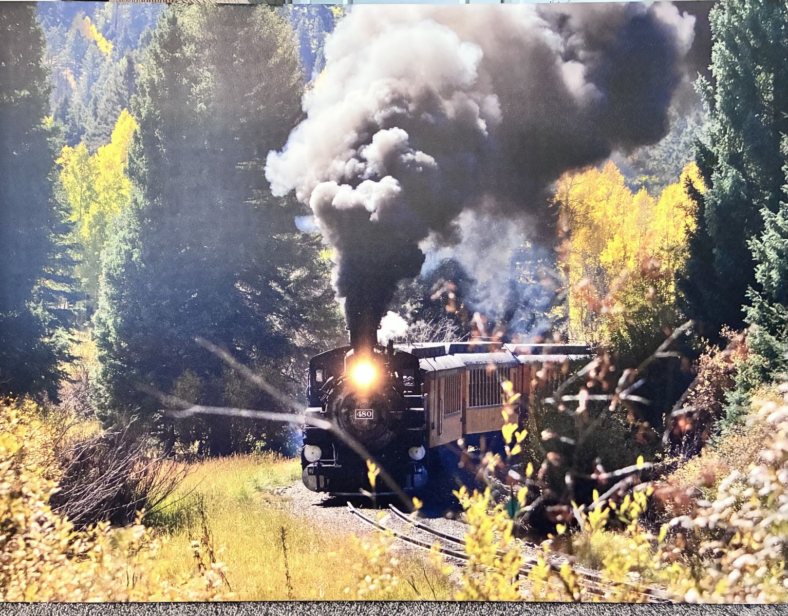 Canvas Train