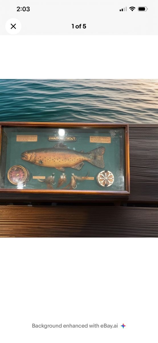 Trout Themed Shadow Box
