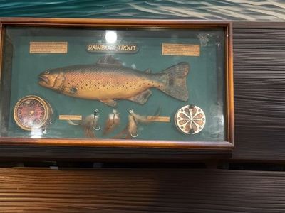 Trout Themed Shadow Box