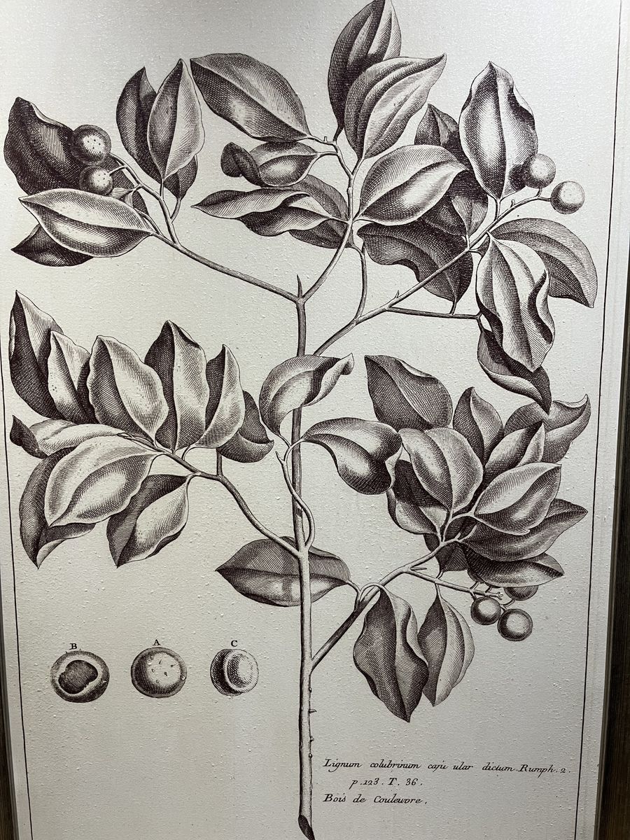 Main image 12
