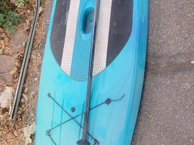 Lifetime Aqua Blue Paddle Board with Paddle