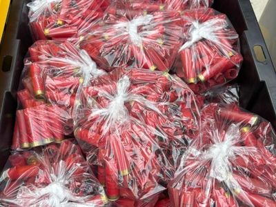 Winchester Once Fired 12Ga. AA's