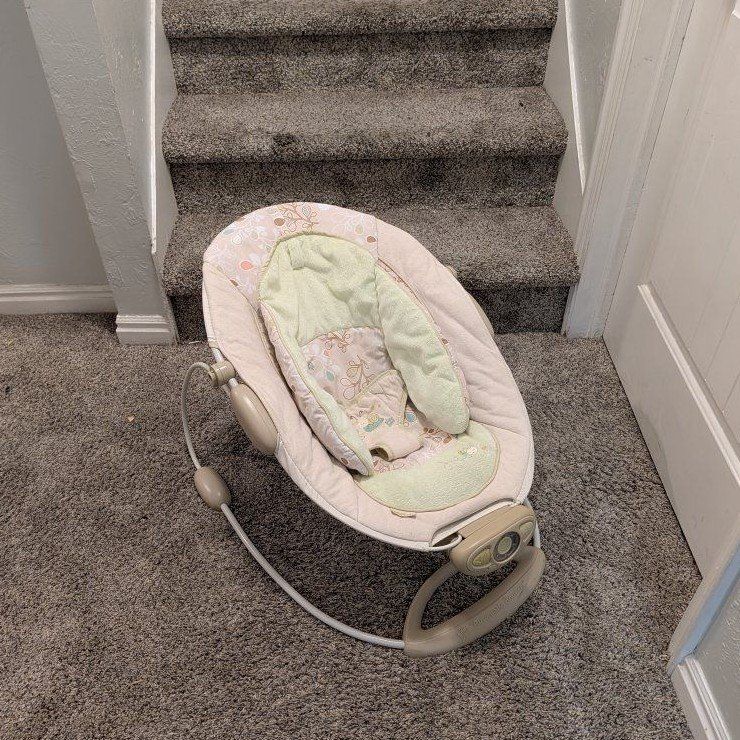 Baby Bouncer