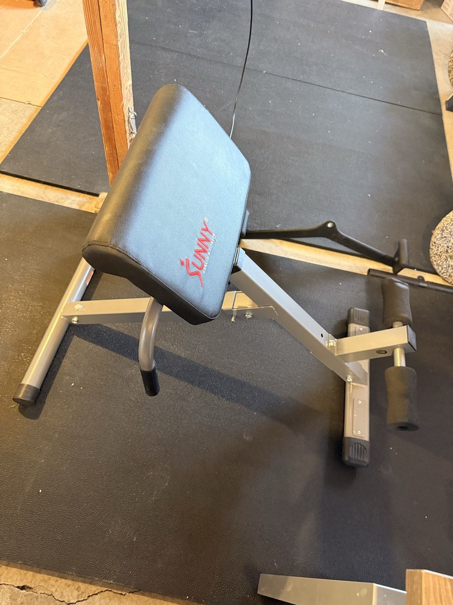 Sunny Health & Fitness Hyperextension Roman Chair Back Extension Bench