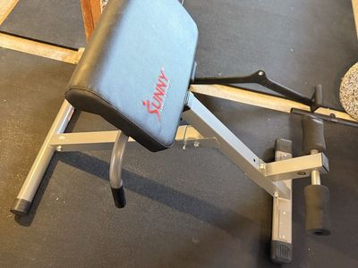Sunny Health & Fitness Hyperextension Roman Chair Back Extension Bench