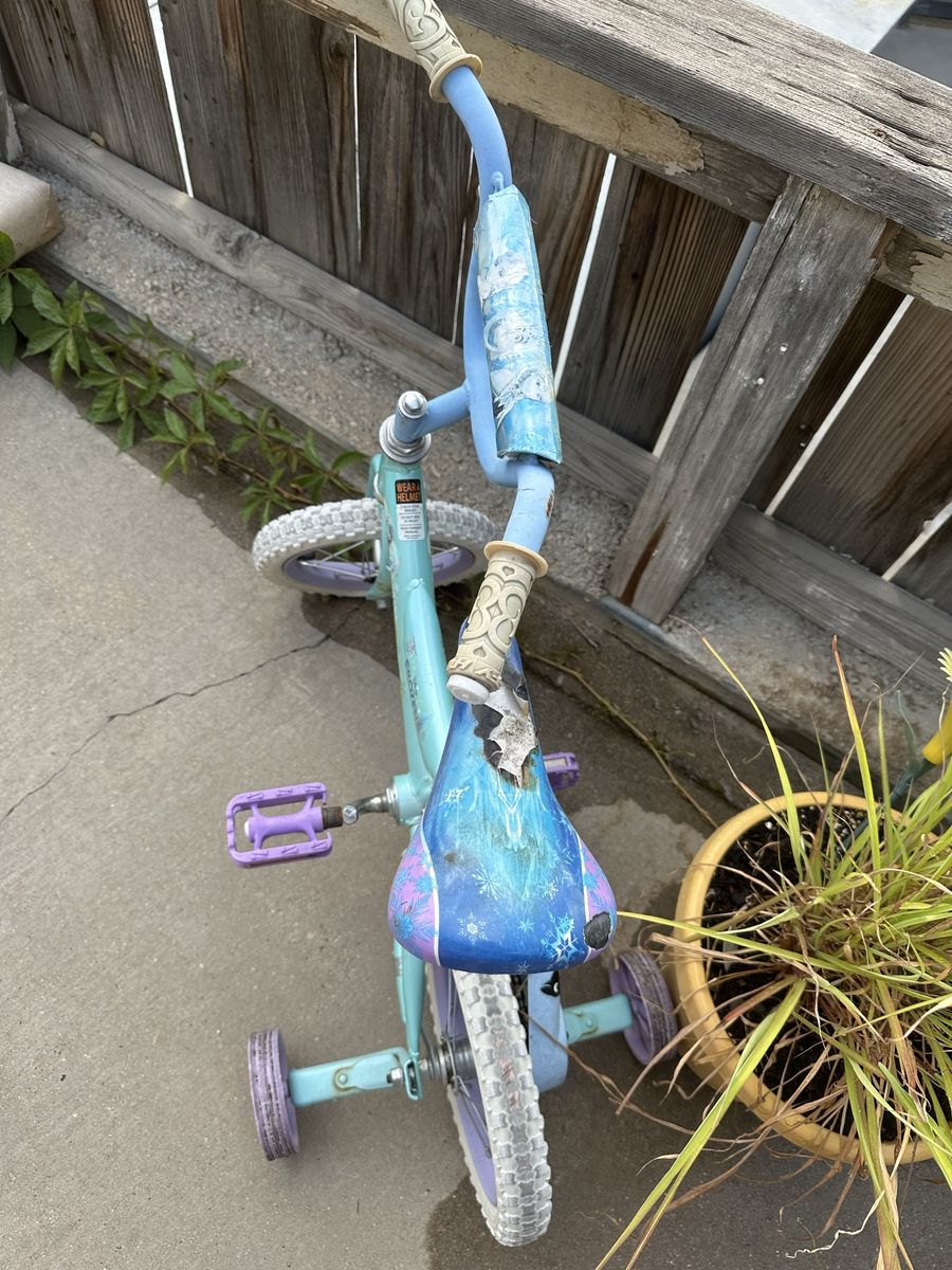 Disney Frozen Kids Bicycle with Training Wheels