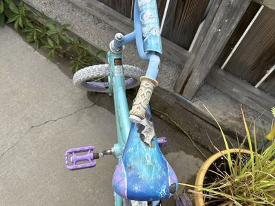 Disney Frozen Kids Bicycle with Training Wheels