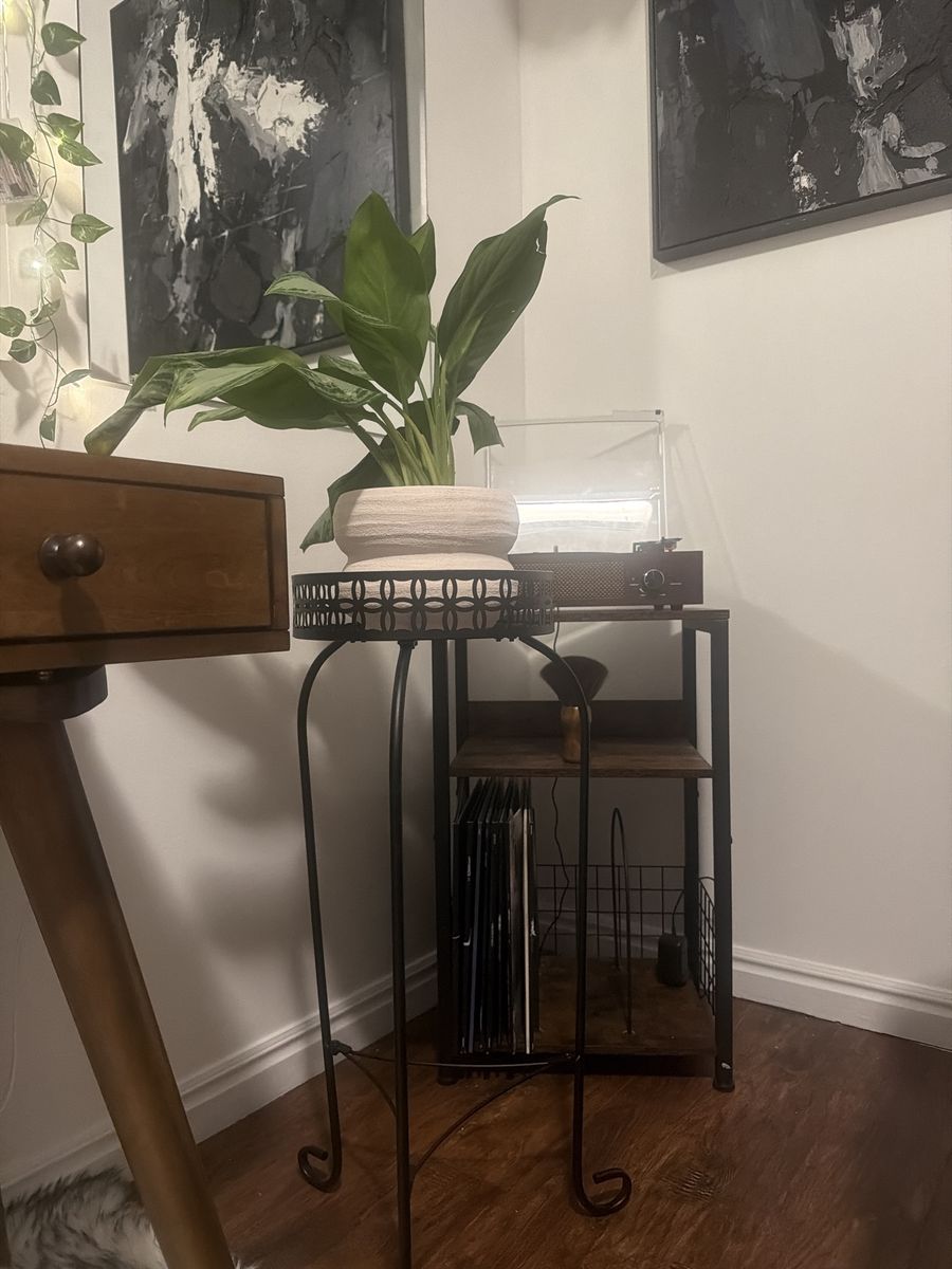 New plant stand *plant included*