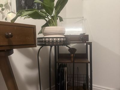 New plant stand *plant included*