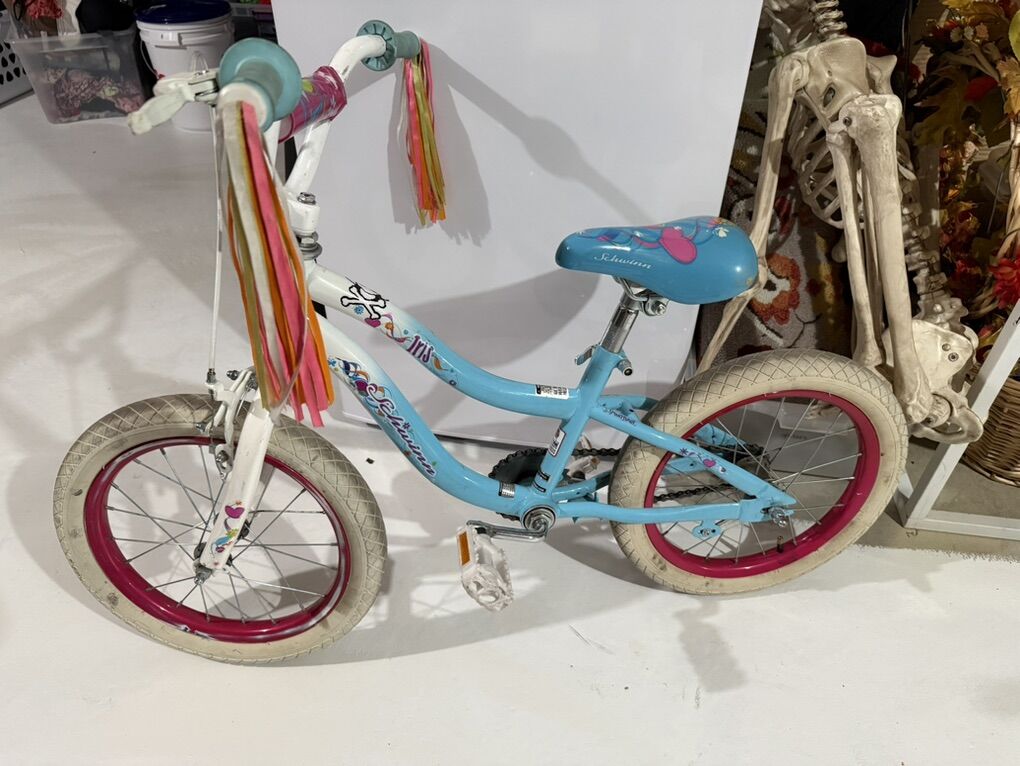 16 Schwinn Iris Bike Works Great