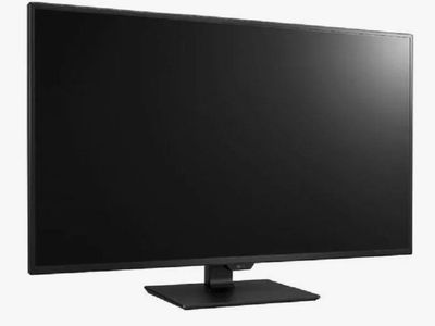 LG 43" 4K UHD IPS Monitor (43UD79-B)