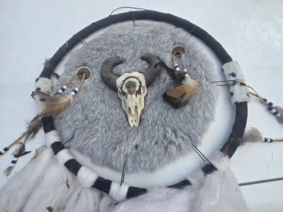 Native american largest dream catcher