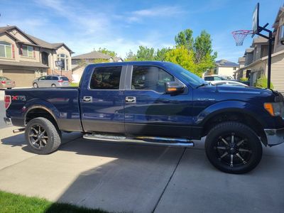 2010 FORD F150 XLT