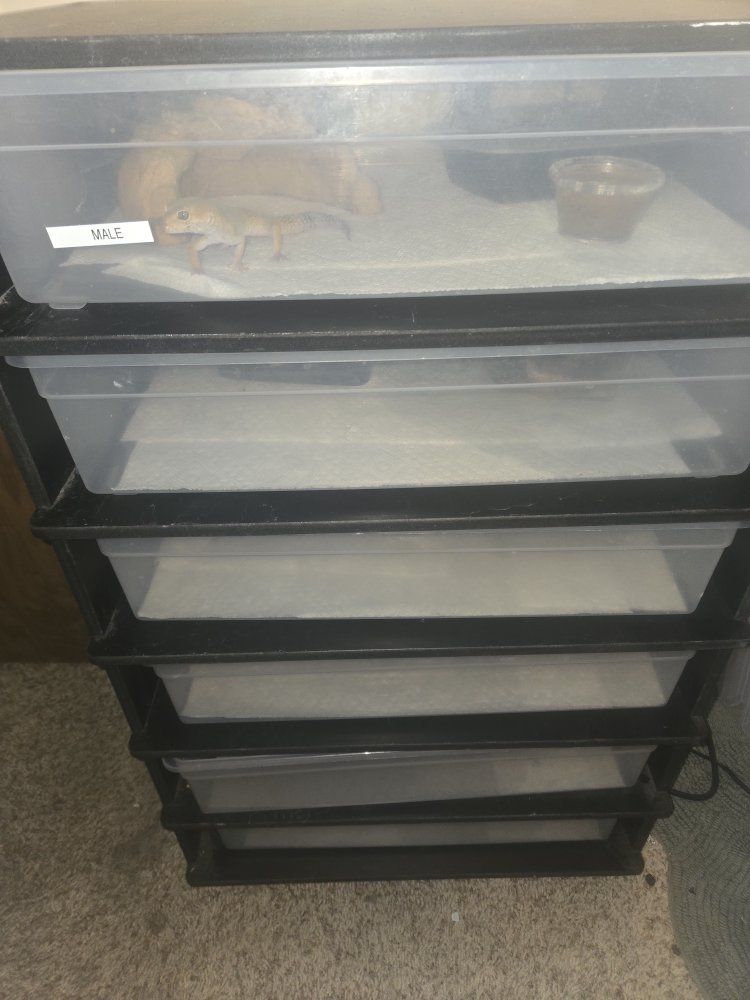 Main image 7