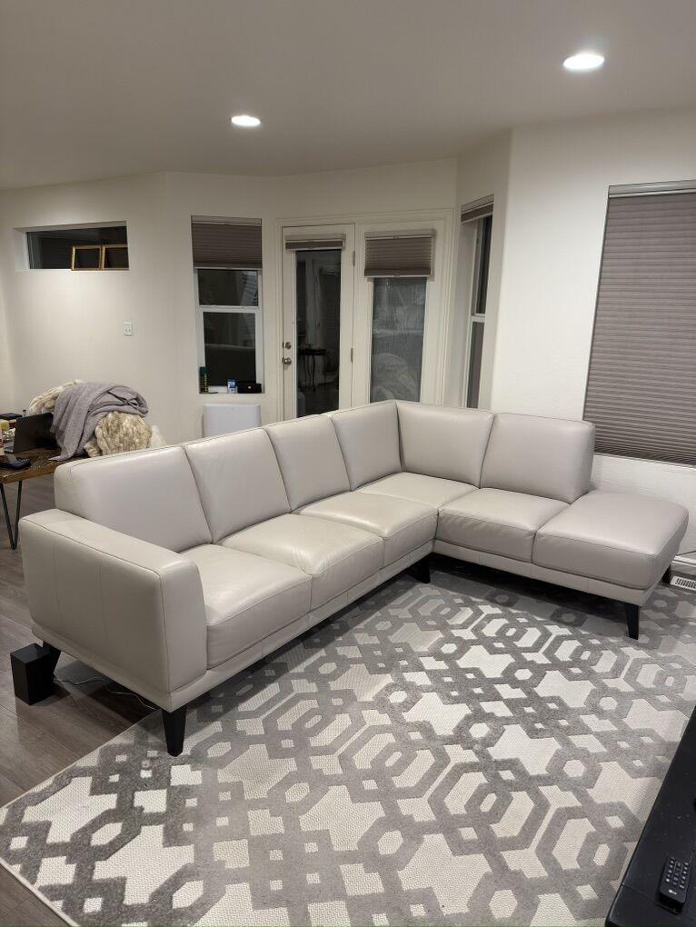 Sectional Couch
