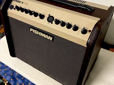 FISHMAN Loudbox Mini Acoustic Guitar Amplifier - Portable 60W Amp with Reverb & Chorus
