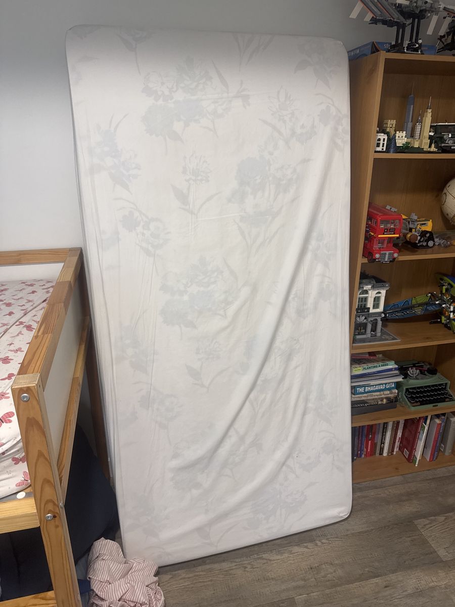 Free twin box spring