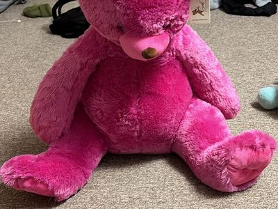 Large Hot Pink Teddy Bear Stuffed Animal - New with Tags