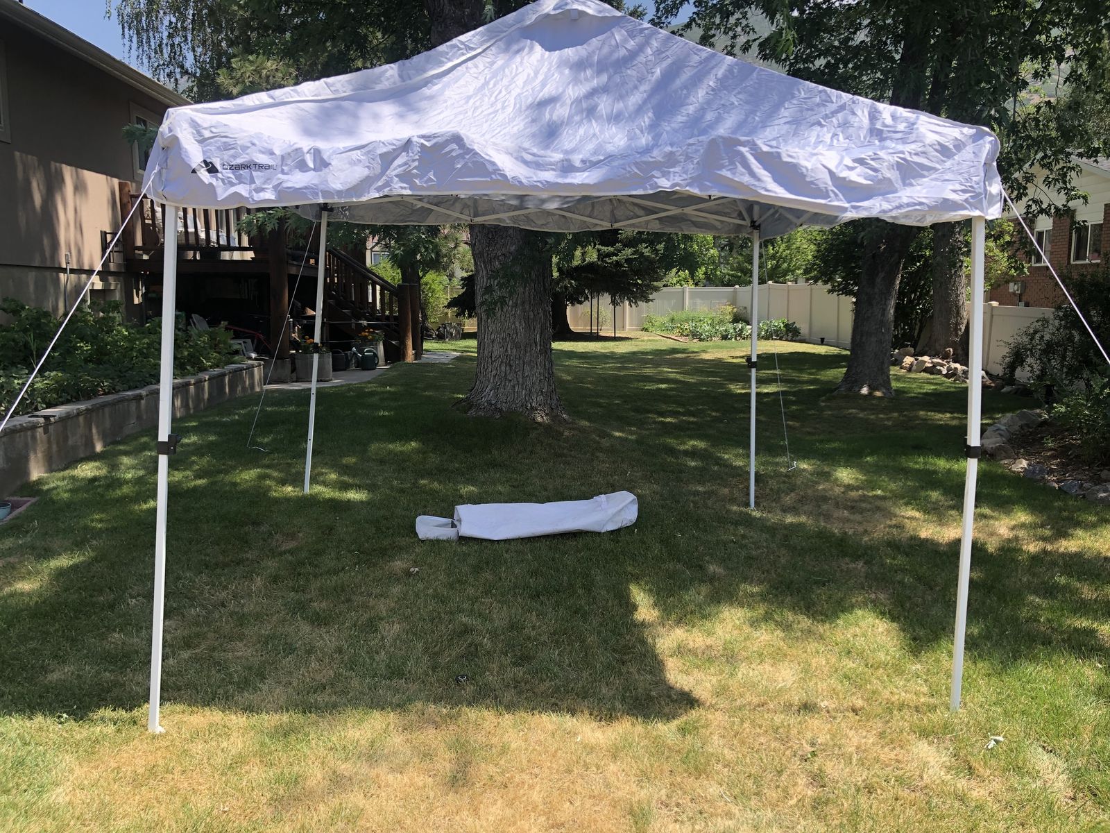 10 x 10 canopy